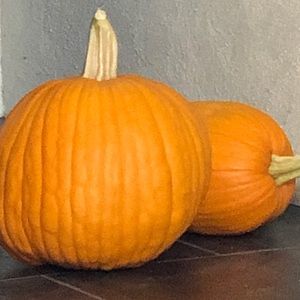 Meet your Posher, Katerina